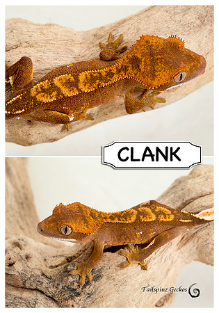 CLANK-1215