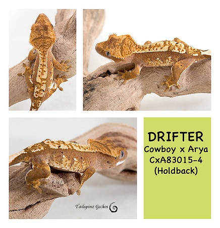 DRIFTER